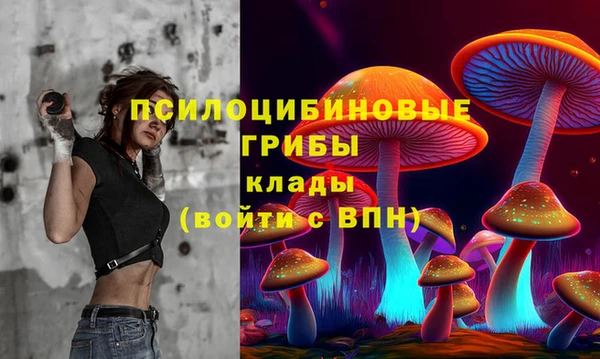 метамфетамин Алексин