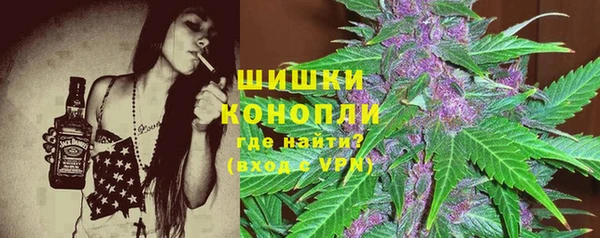 ПСИЛОЦИБИНОВЫЕ ГРИБЫ Алексеевка