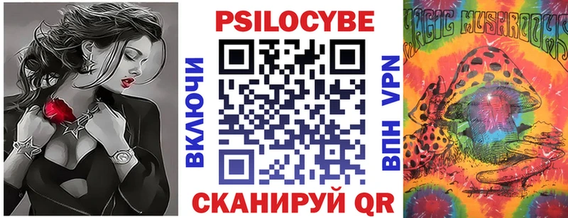 Псилоцибиновые грибы Psilocybe  Купить  Жигулёвск 